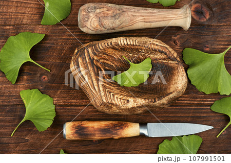 Ginkgo biloba leaves, medicinal leaves. Ginkgo biloba leaves, medicinal leaves. 107991501