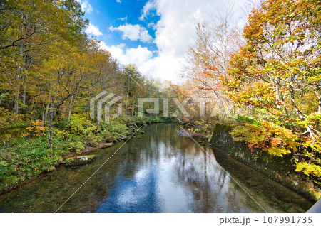 秋の紅葉シーズンの川辺の風景 秋の紅葉シーズンの川辺の風景 107991735