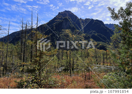 秋の上高地　岳沢湿原 107991854