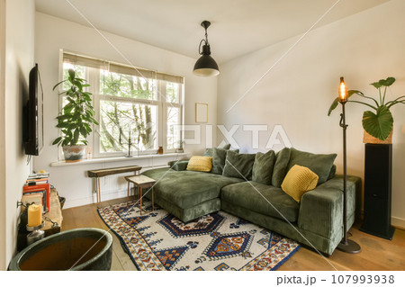 a living room with a green couch and some plants on the wall behind it in front of a large window 107993938