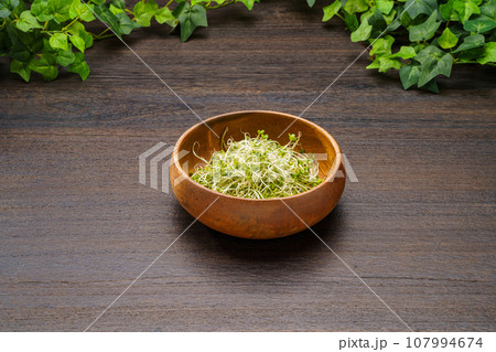 ブロッコリースプラウト ブロッコリースプラウト 107994674