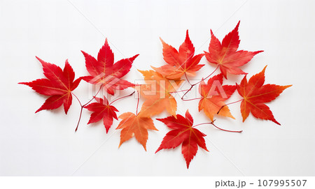紅葉の背景素材 107995507