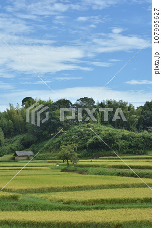 田園風景 107995627