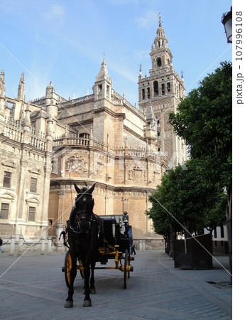 セビリア大聖堂と馬車【スペイン】 セビリア大聖堂と馬車【スペイン】 107996108