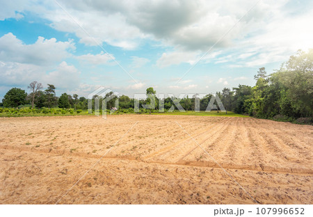 Empty dry cracked swamp reclamation soil, land plot for housing construction project with car tire print in rural area and beautiful blue sky with fresh air Land for sales landscape concept. 107996652