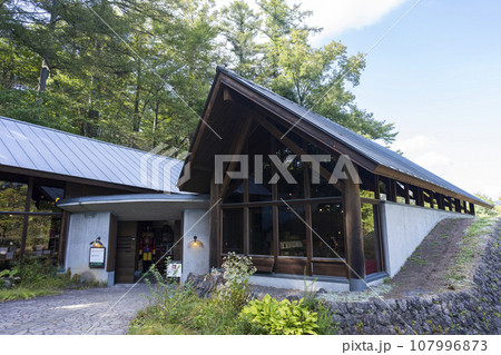 軽井沢の木のおもちゃのお店、絵本のお店 107996873