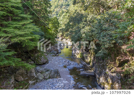 高雄の清滝川の清滝橋からの風景 高雄の清滝川の清滝橋からの風景 107997026
