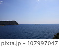 鬼ヶ城 107997047