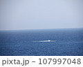 鬼ヶ城 107997048