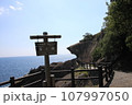 鬼ヶ城 107997050