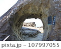 鬼ヶ城 107997055