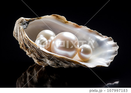 The pearls in the mussel shell on black background. Close up of a pearl nestled inside a oyster shell. 107997183