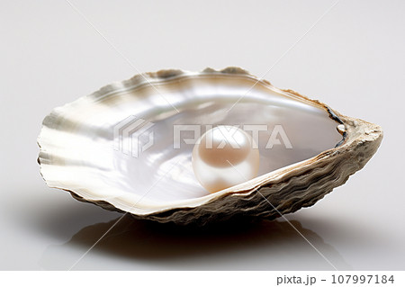 The pearls in the mussel shell on white background. Close up of a pearl nestled inside a oyster shell. The pearls in the mussel shell on white background. Close up of a pearl nestled inside a oyster shell. 107997184