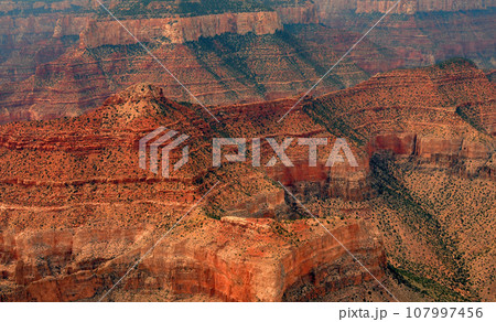 Aerial View Grand Canyon Arizona Aerial View Grand Canyon Arizona 107997456