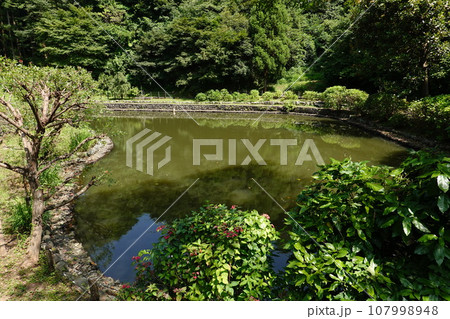 回春院 池 回春院 池 107998948