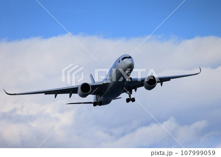 旅客機の離着陸　イメージ 107999059