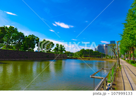 皇居のお濠と日比谷通りの歩道と街路樹。日比谷、丸の内、大手町の高層ビル群(東京都千代田区) 皇居のお濠と日比谷通りの歩道と街路樹。日比谷、丸の内、大手町の高層ビル群(東京都千代田区) 107999133