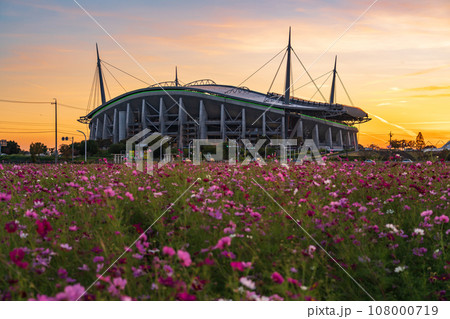 豊田スタジアムと夕陽に染まるコスモス畑〈愛知県豊田市〉 豊田スタジアムと夕陽に染まるコスモス畑〈愛知県豊田市〉 108000719