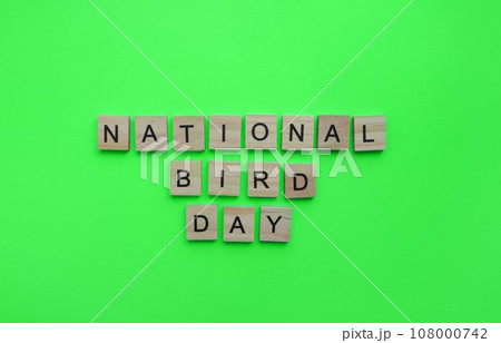 January 5, National Bird Day, minimalistic banner with the inscription in wooden letters January 5, National Bird Day, minimalistic banner with the inscription in wooden letters 108000742