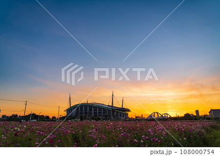 豊田スタジアムと夕陽に染まるコスモス畑〈愛知県豊田市〉 豊田スタジアムと夕陽に染まるコスモス畑〈愛知県豊田市〉 108000754