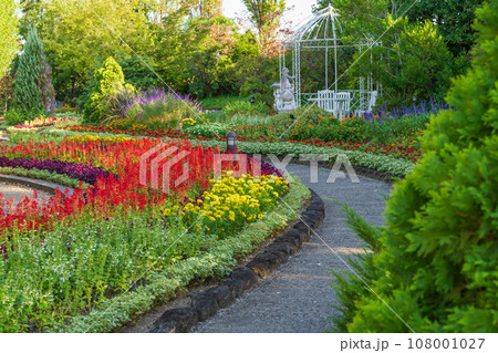 デンパーク、鮮やかな秋の花壇〈愛知県安城市〉 デンパーク、鮮やかな秋の花壇〈愛知県安城市〉 108001027