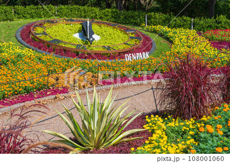 デンパーク、鮮やかな秋の花壇〈愛知県安城市〉 108001060