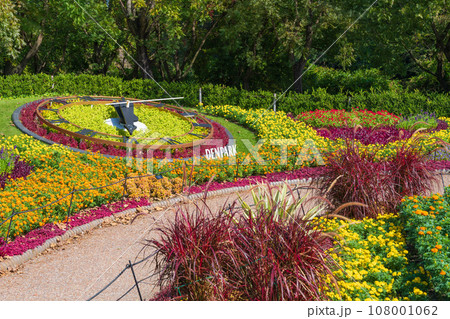 デンパーク、鮮やかな秋の花壇〈愛知県安城市〉 108001062