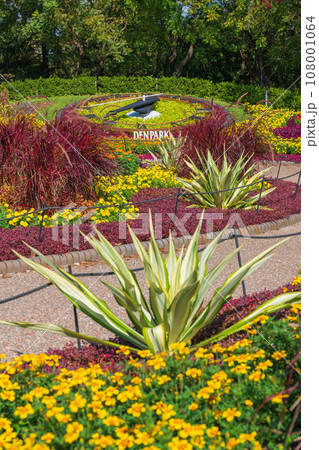 デンパーク、鮮やかな秋の花壇〈愛知県安城市〉 デンパーク、鮮やかな秋の花壇〈愛知県安城市〉 108001064
