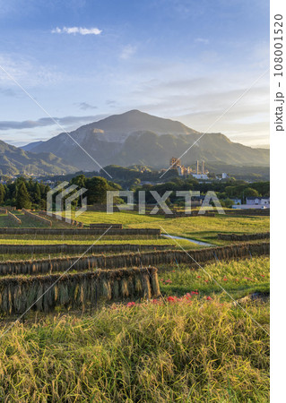 埼玉県秩父郡　秋の寺坂棚田と武甲山 108001520