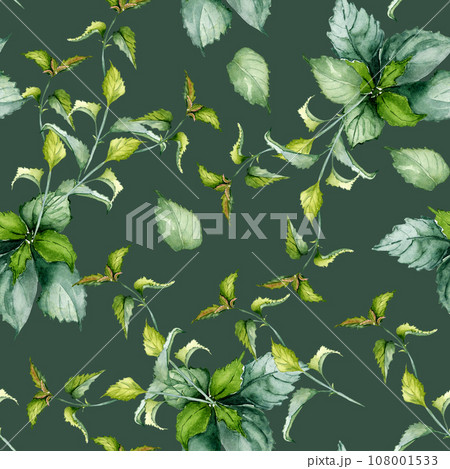 Nettle stem herbal plant watercolor seamless pattern isolated on dark background. Urtica dioica, green leaves, useful herb hand drawn. Design for textile, package, wrapping, fabric, wallpaper 108001533