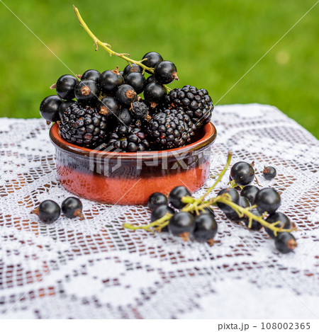 Blackberry and black currant in ceramic bowl. Blackberry and black currant in ceramic bowl. 108002365