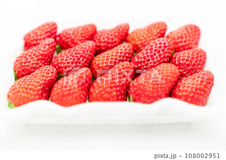 おいしいイチゴ 108002951