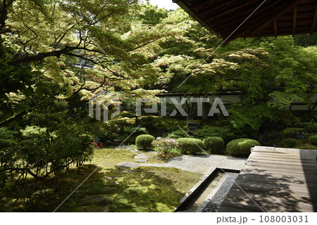 泉涌寺 御座所庭園 泉涌寺 御座所庭園 108003031