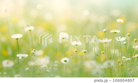 Wildflowers in fresh grass against blurred background - Ecology concept 108004807