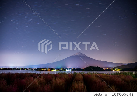 （山梨県）河口湖大石公園・星空の下のコキアと富士山 108005042