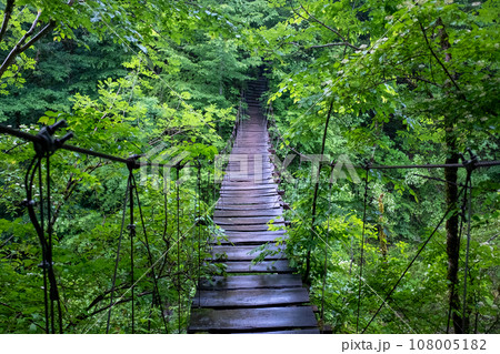 An old suspension bridge over a green abyss in a mountain forest after a rain. 108005182