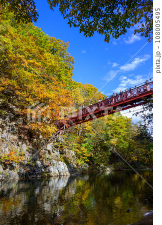 豊平川渓流と二見吊り橋_6639 豊平川渓流と二見吊り橋_6639 108005495