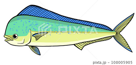 シンプルなシイラのイラスト シンプルなシイラのイラスト 108005905