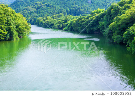 玉淀湖　寄居橋からの風景　寄居町　 108005952