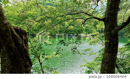 東北地方青森県世界遺産十二湖　沸壺の池 108006404