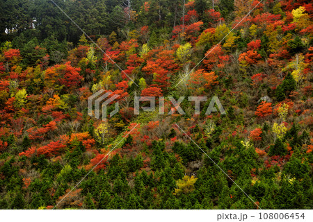 カラフルな山 108006454