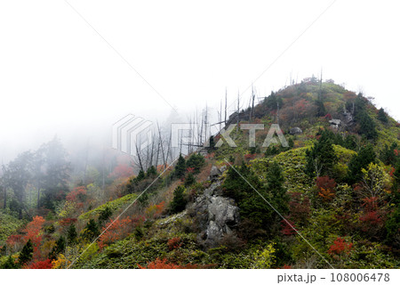 霧に包まれる山の風景 霧に包まれる山の風景 108006478