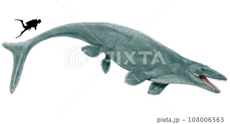 モササウルス ホフマニ 最大級のモササウルスにして後期白亜紀の海の頂点捕食者 モササウルス ホフマニ 最大級のモササウルスにして後期白亜紀の海の頂点捕食者 108006563
