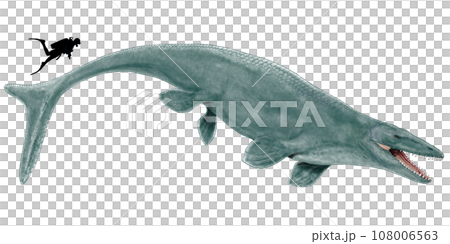 モササウルス ホフマニ 最大級のモササウルスにして後期白亜紀の海の頂点捕食者 モササウルス ホフマニ 最大級のモササウルスにして後期白亜紀の海の頂点捕食者 108006563