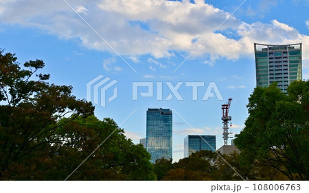 代々木公園から眺める渋谷のビル 108006763