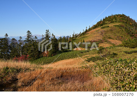 苗場山　九合目草紅葉 108007270