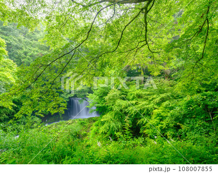 山梨_新緑の美しい鐘山の滝の風景 山梨_新緑の美しい鐘山の滝の風景 108007855