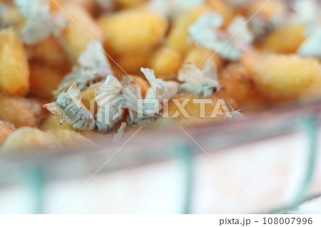 Butterfly of Silk on a yellow cocoon. 108007996