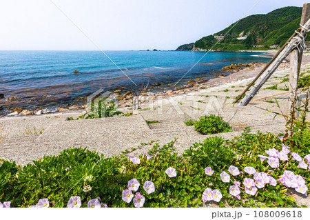 【新潟県･佐渡･岩谷口】佐渡の原風景が残る岩谷口 初夏編 108009618