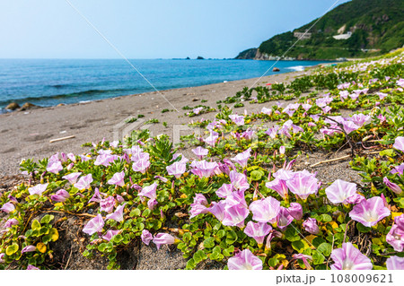 【新潟県･佐渡･岩谷口】佐渡の原風景が残る岩谷口 初夏編 108009621
